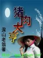 猪肉大亨免费阅读