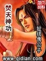 焚天神功全文在线阅读，焚天神功小说免费版-优文网