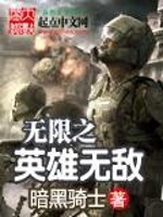 小说《无限之英雄无敌》全文免费阅读-锤石文学