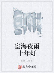 宦海夜雨十年灯全文在线阅读，宦海夜雨十年灯小说免费版-优文网