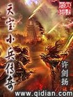 小说《天宝小兵传奇》全文免费阅读-锤石文学