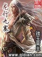 龙行九塞免费阅读