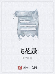 飞花录全文在线阅读，飞花录小说免费版-优文网