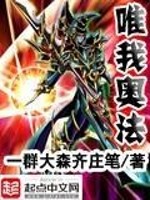 唯我奥法全文在线阅读，唯我奥法小说免费版-优文网