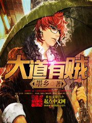 大道有贼免费阅读