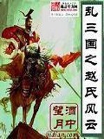 小说《乱三国之赵氏风云》全文免费阅读-锤石文学