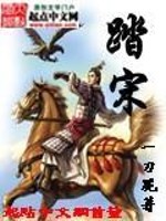 踏宋全文在线阅读，踏宋小说免费版-优文网