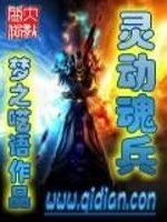 灵动魂兵免费阅读
