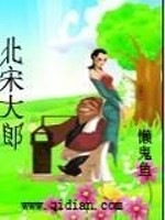 北宋大郎免费阅读