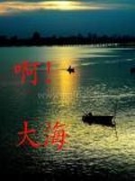 啊大海全文在线阅读，啊大海小说免费版-优文网
