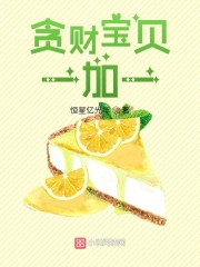 贪财宝贝一加一免费阅读