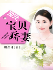 独宠宝贝娇妻免费阅读