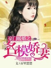豪门暖婚之名模娇妻免费阅读