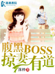 腹黑BOSS掠妻有道免费阅读
