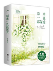 私婚之Boss的VIP老婆免费阅读
