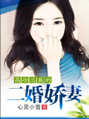 高冷总裁的二婚妻免费阅读