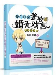豪门狂宝爹地婚无戏言免费阅读