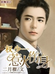 权少，惹火伤身免费阅读