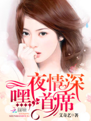 一夜情深：嘿，首席！免费阅读