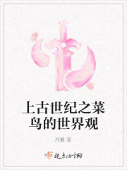 上古世纪之菜鸟的世界观免费阅读