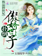 小说《极品阴阳妃：扑倒傲娇世子》全文免费阅读-锤石文学