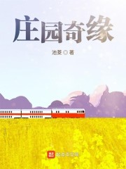 小说《庄园奇缘》全文免费阅读-锤石文学