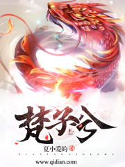 梵子兮免费阅读