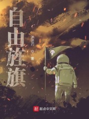 自由旌旗全文在线阅读，自由旌旗小说免费版-优文网