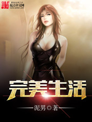 完美生活免费阅读