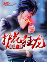 护花狂龙免费阅读