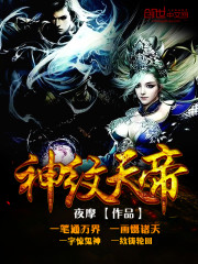 神纹天帝免费阅读