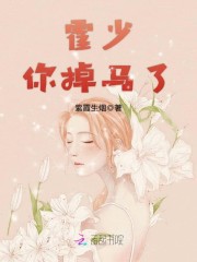 霍少，你掉马了免费阅读