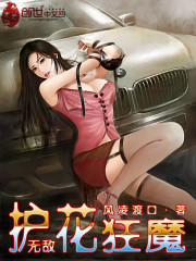 无敌护花狂魔免费阅读