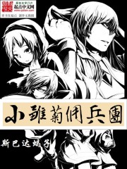 小雏菊佣兵团免费阅读