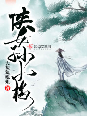 侠女孙小梅全文在线阅读，侠女孙小梅小说免费版-优文网