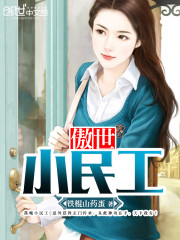 傲世小民工免费阅读