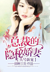 头号新宠，总裁的隐秘娇妻！免费阅读