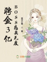 聘金3亿，BOSS惑妻无度免费阅读