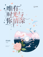 唯有时光与你情深免费阅读