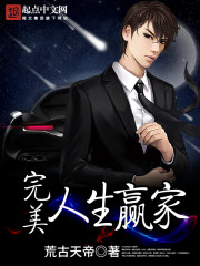 完美人生赢家免费阅读