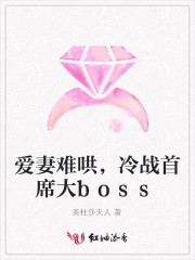 爱妻难哄，冷战首席大boss免费阅读