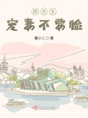 顾先生，宠妻不要脸！全文在线阅读，顾先生，宠妻不要脸！小说免费版-优文网