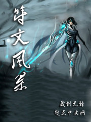 符文风暴免费阅读