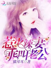 顾总他恋爱超甜的免费阅读