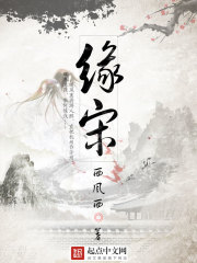 缘宋全文在线阅读，缘宋小说免费版-优文网