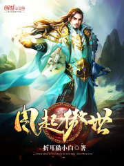 风起傲世免费阅读