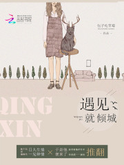 遇见就倾城全文在线阅读，遇见就倾城小说免费版-优文网