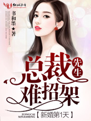新婚第1天，总裁先生难招架免费阅读