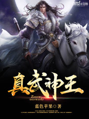 真武神王免费阅读