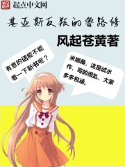 小说《基亚斯反叛的鲁路修》全文免费阅读-锤石文学